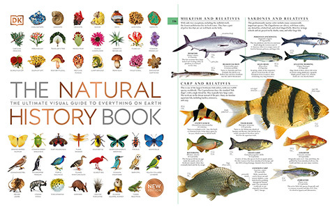[画集]The Natural History Book: The Ultimate Visual Guide to Everything on Earth[664P]