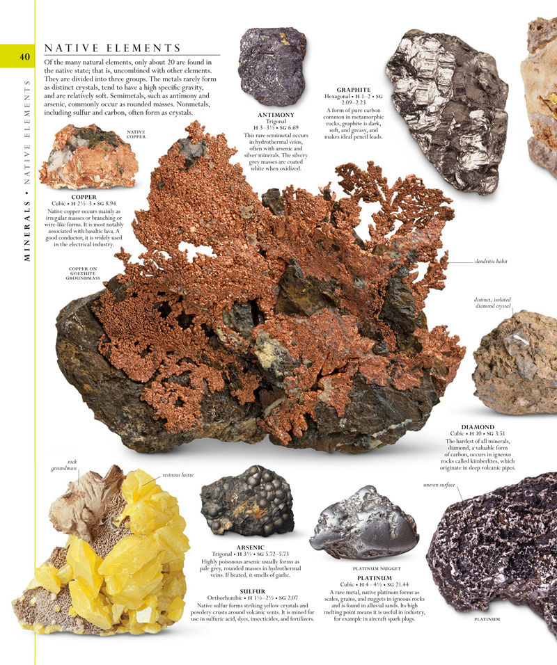 [画集]The Natural History Book: The Ultimate Visual Guide to Everything on Earth[664P]