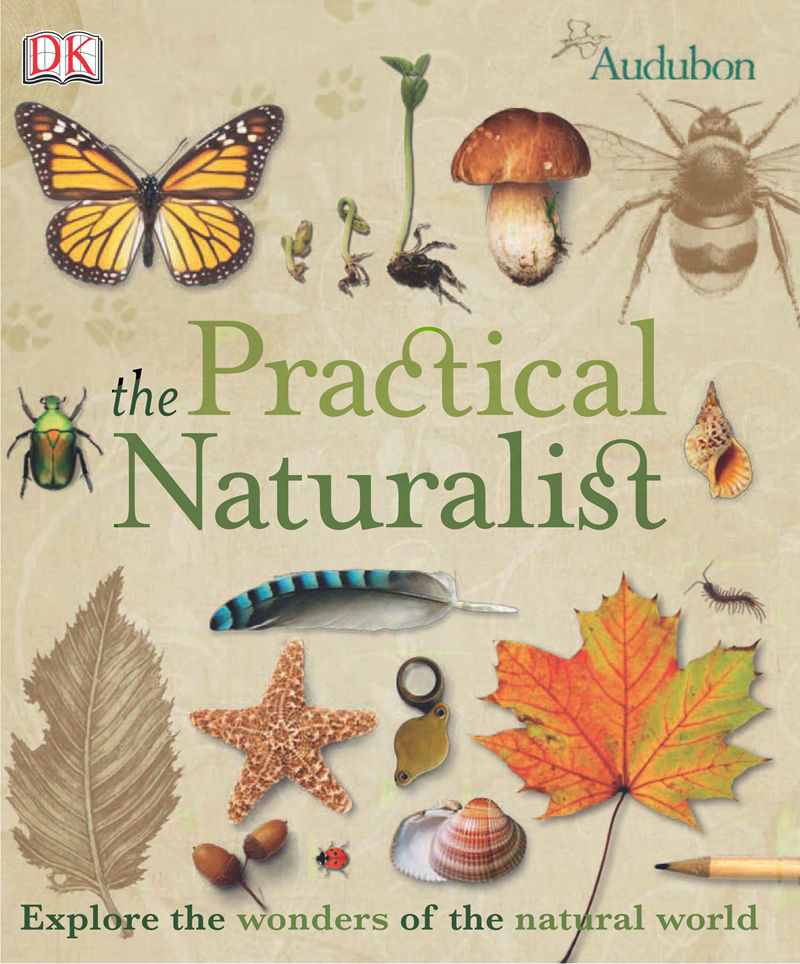 [画集]The Practical Naturalist: Explore the Wonders of the Natural World[258P]