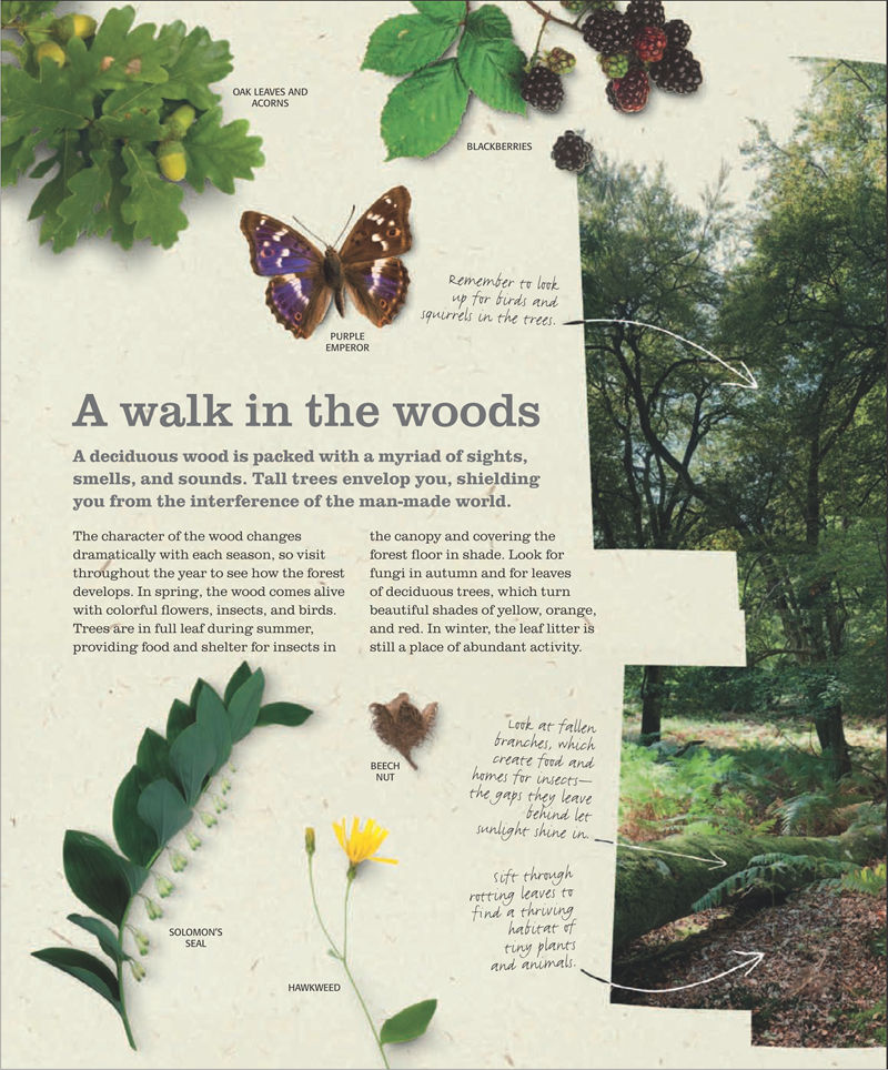 [画集]The Practical Naturalist: Explore the Wonders of the Natural World[258P]