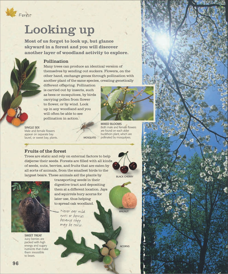 [画集]The Practical Naturalist: Explore the Wonders of the Natural World[258P]