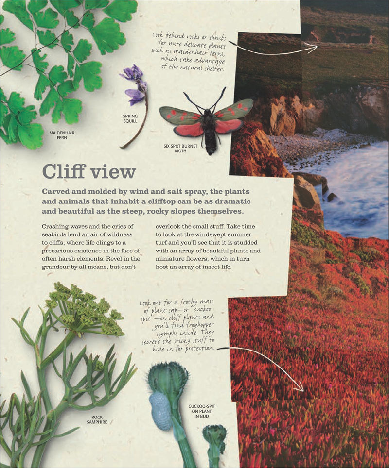 [画集]The Practical Naturalist: Explore the Wonders of the Natural World[258P]