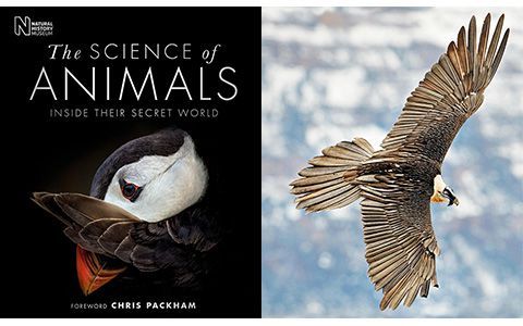 [画集]The Science of Animals: Inside Their Secret World[336P]