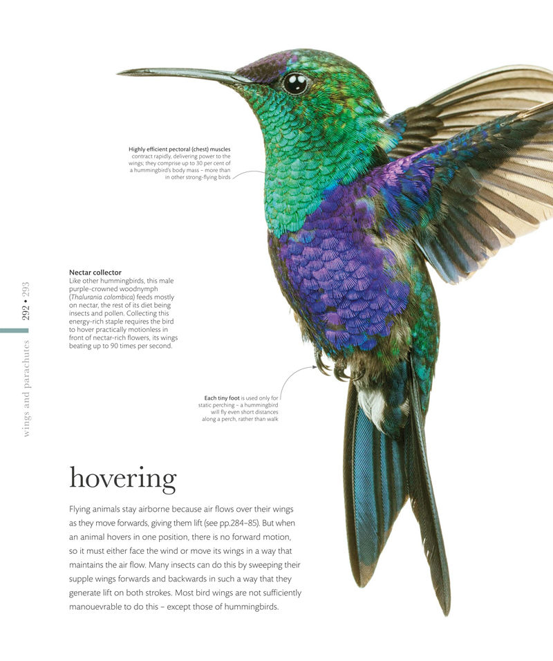 [画集]The Science of Animals: Inside Their Secret World[336P]