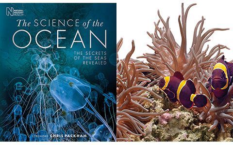 [画集]The Science of the Ocean: The Secrets of the Sea Revealed[336P]
