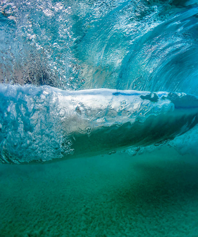 [画集]The Science of the Ocean: The Secrets of the Sea Revealed[336P]