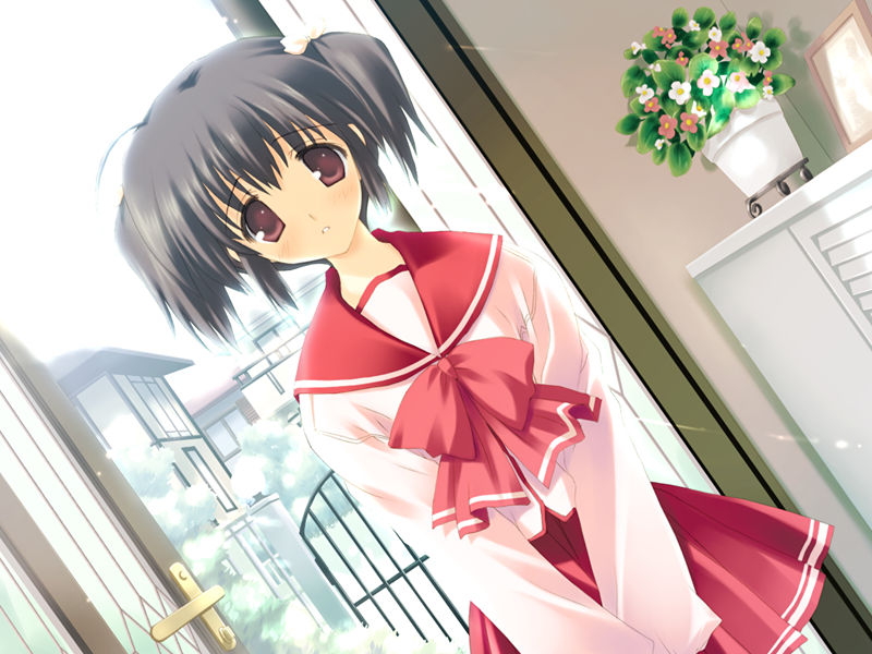 [游戏CG][みつみ美里 甘露樹 中村毅 カワタヒサシ]ToHeart2 XRATED 精选游戏CG[272P]