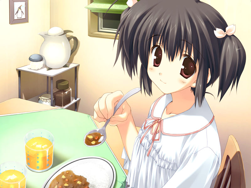 [游戏CG][みつみ美里 甘露樹 中村毅 カワタヒサシ]ToHeart2 XRATED 精选游戏CG[272P]