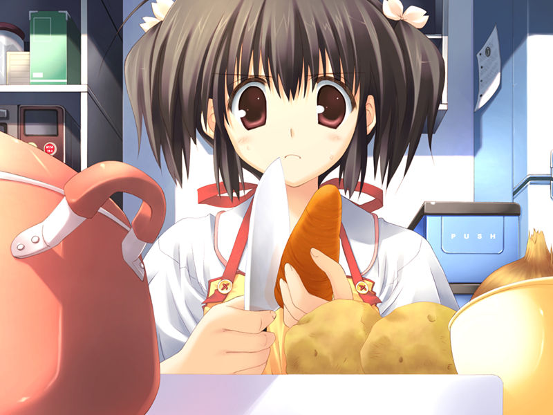 [游戏CG][みつみ美里 甘露樹 中村毅 カワタヒサシ]ToHeart2 XRATED 精选游戏CG[272P]