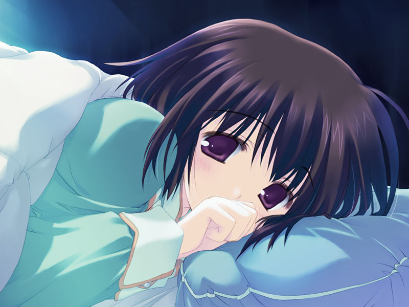 [游戏CG][みつみ美里 甘露樹 中村毅 カワタヒサシ]ToHeart2 XRATED 精选游戏CG[272P]
