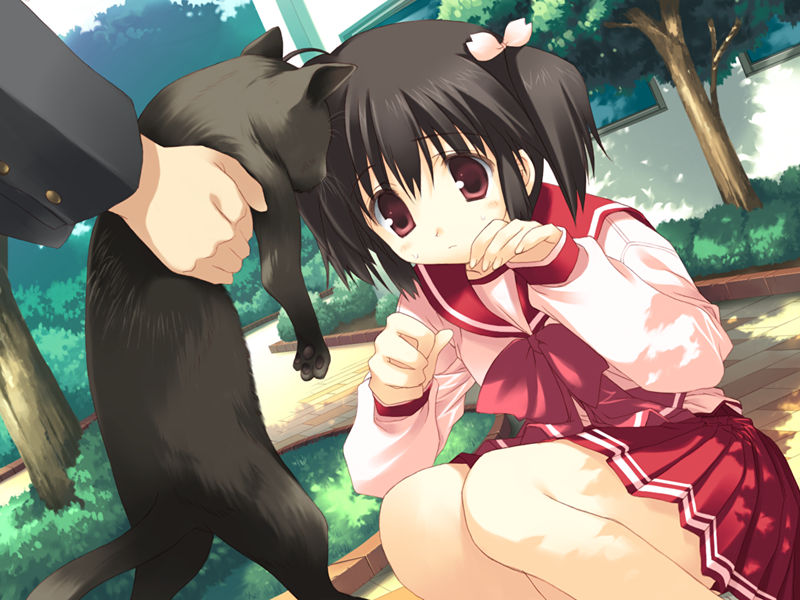 [游戏CG][みつみ美里 甘露樹 中村毅 カワタヒサシ]ToHeart2 XRATED 精选游戏CG[272P]