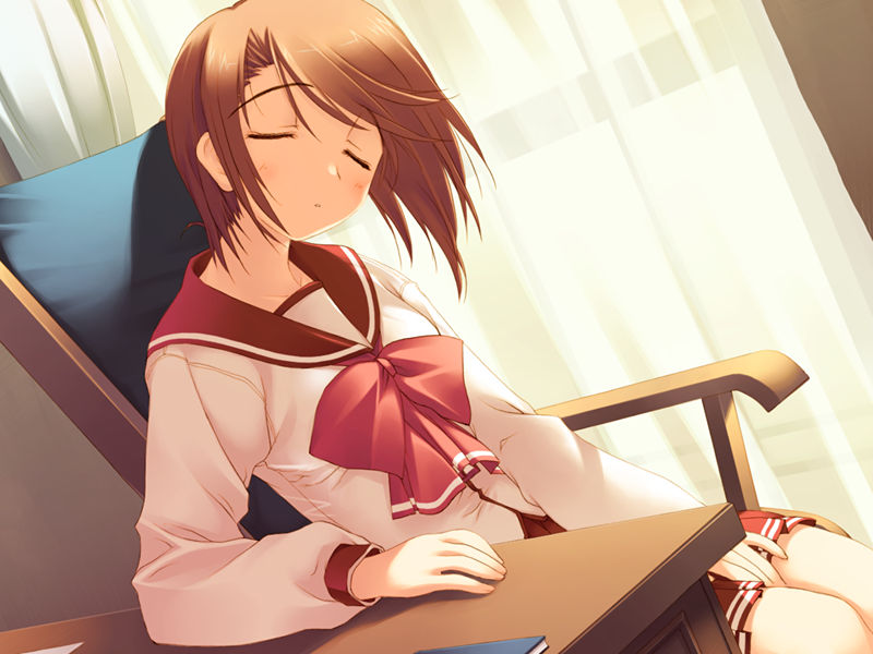 [游戏CG][みつみ美里 甘露樹 中村毅 カワタヒサシ]ToHeart2 XRATED 精选游戏CG[272P]