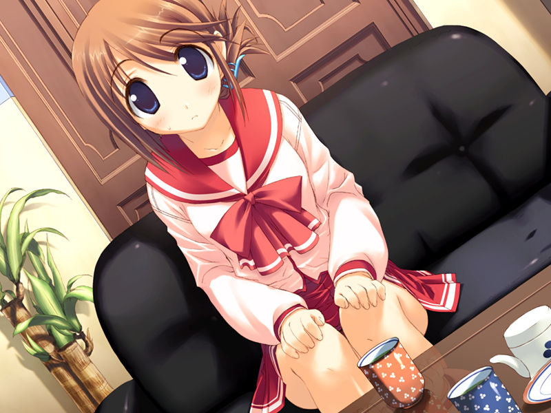 [游戏CG][みつみ美里 甘露樹 中村毅 カワタヒサシ]ToHeart2 XRATED 精选游戏CG[272P]