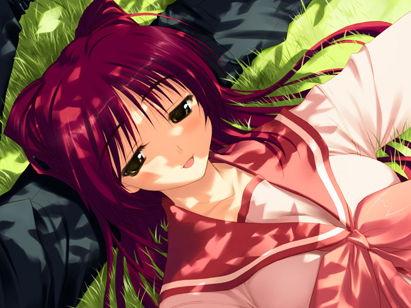 [游戏CG][みつみ美里 甘露樹 中村毅 カワタヒサシ]ToHeart2 XRATED 精选游戏CG[272P]