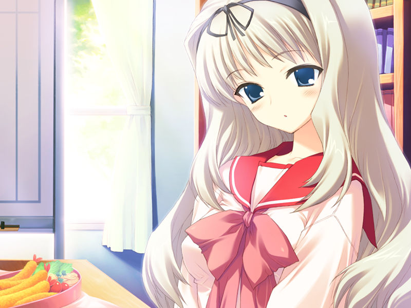 [游戏CG][みつみ美里 甘露樹 中村毅 カワタヒサシ]ToHeart2 XRATED 精选游戏CG[272P]