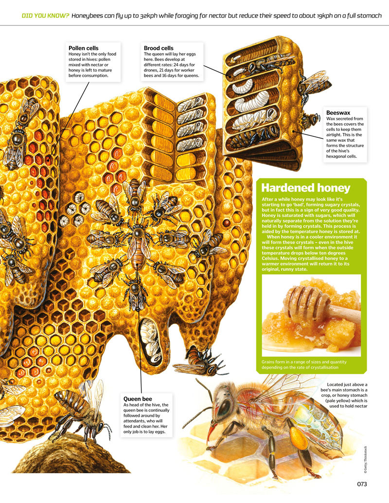 [画集]How It Works: Amazing Cutaways[147P]