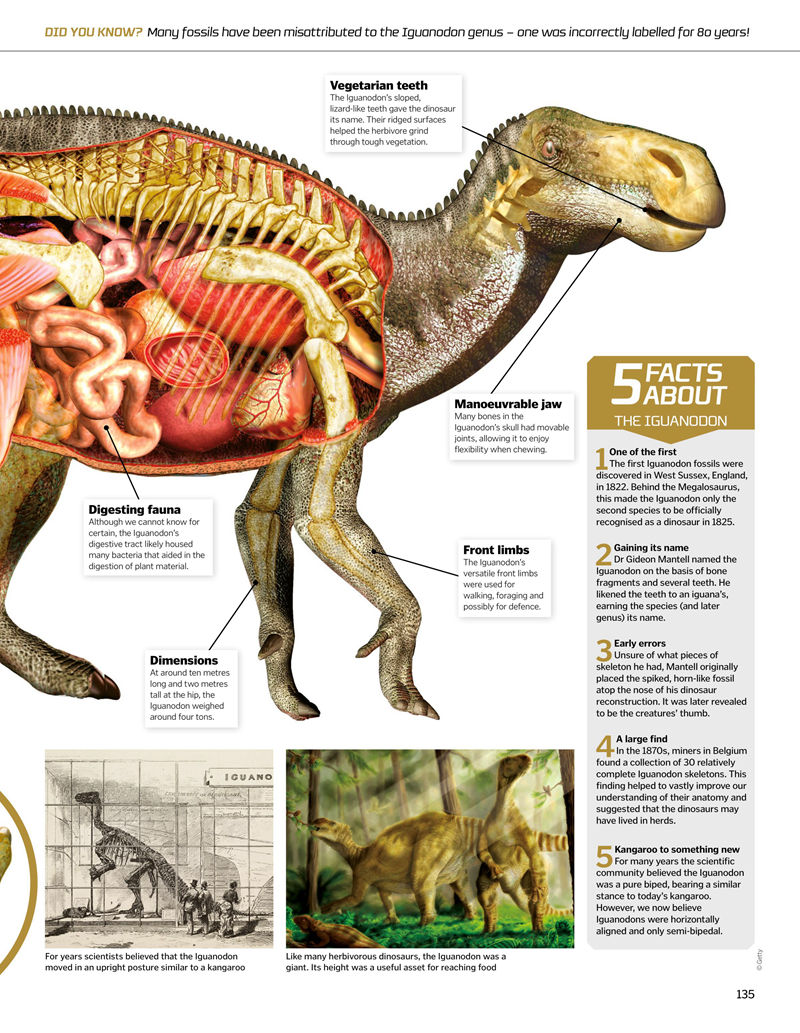 [画集]How It Works: Amazing Cutaways[147P]