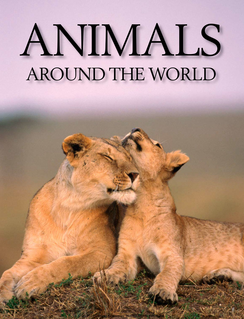[画集]Animals Around the World[128P]