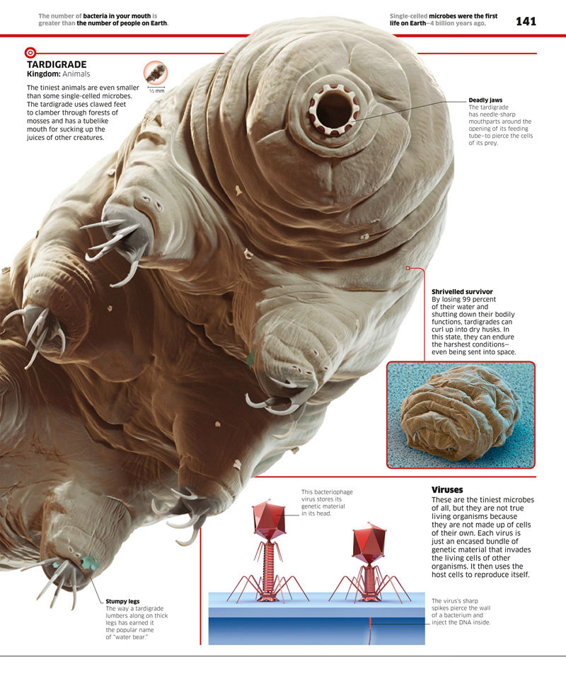 [画集]Science: Science as You’ve Never Seen It Before[210P]