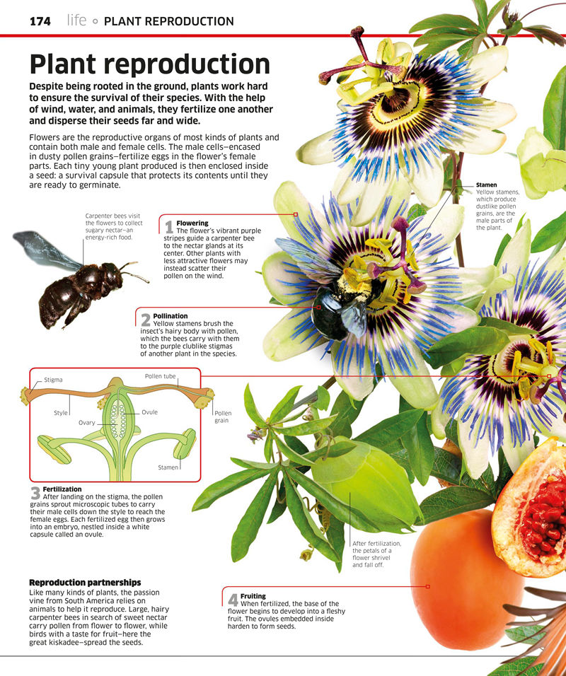 [画集]Science: Science as You’ve Never Seen It Before[210P]
