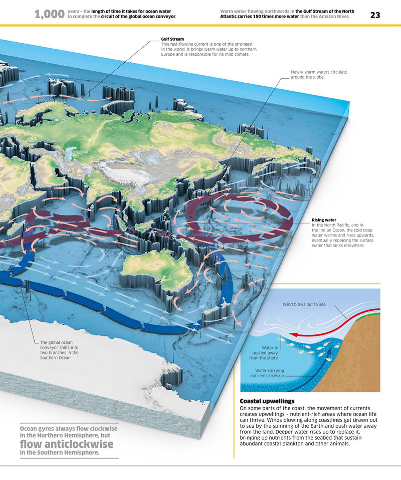 [画集]Knowledge Encyclopedia Ocean[208P]