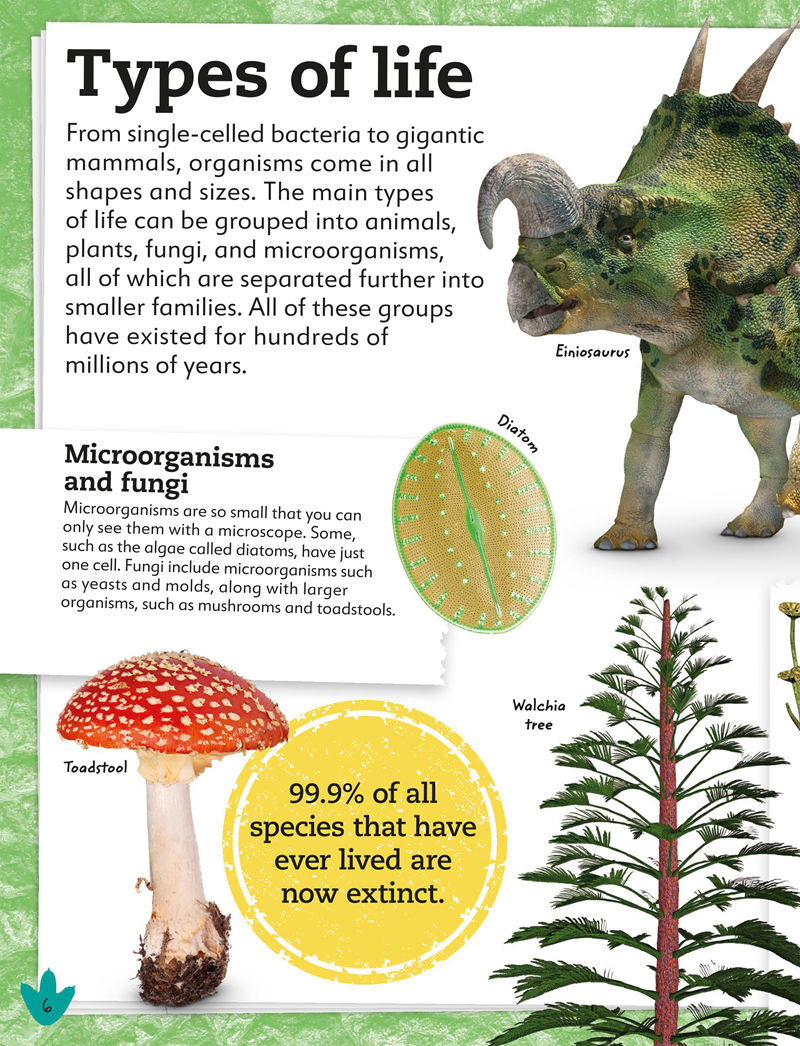 [画集]My Book of Dinosaurs and Prehistoric Life[98P]