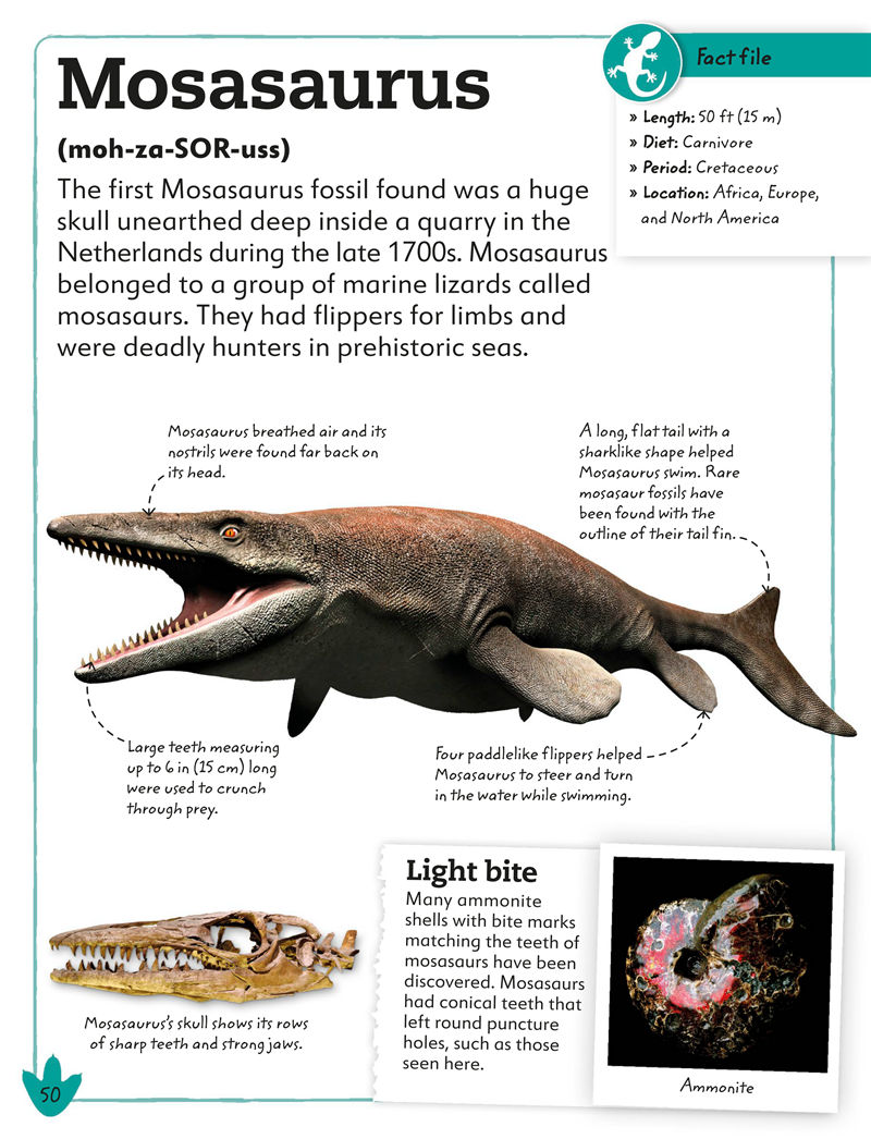 [画集]My Book of Dinosaurs and Prehistoric Life[98P]