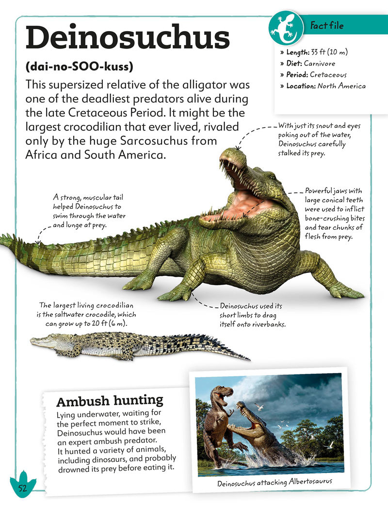 [画集]My Book of Dinosaurs and Prehistoric Life[98P]