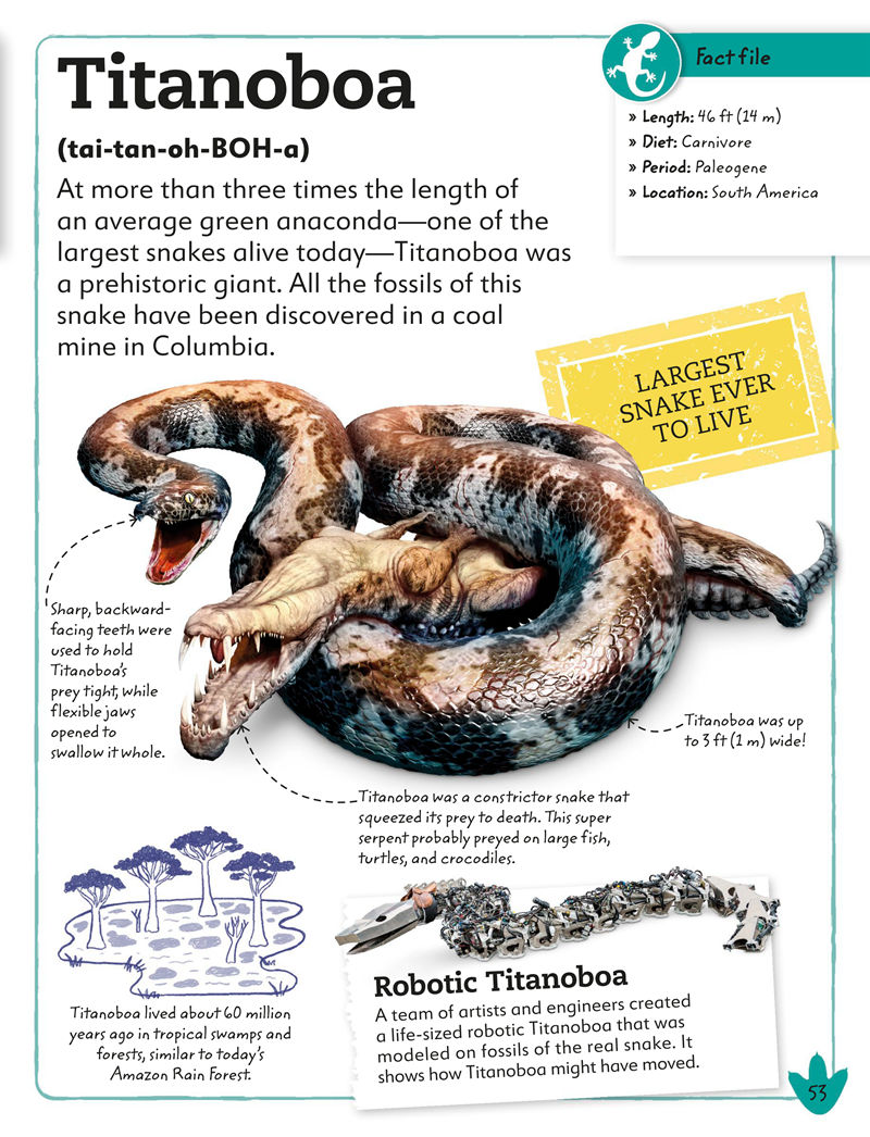 [画集]My Book of Dinosaurs and Prehistoric Life[98P]