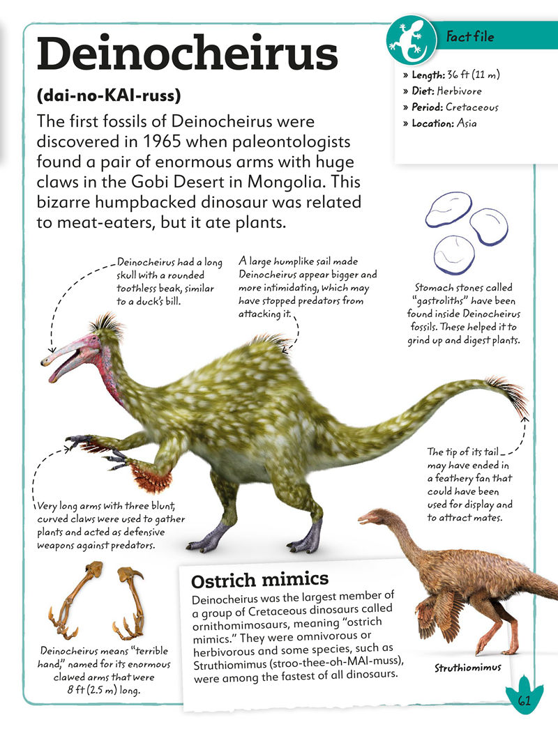 [画集]My Book of Dinosaurs and Prehistoric Life[98P]