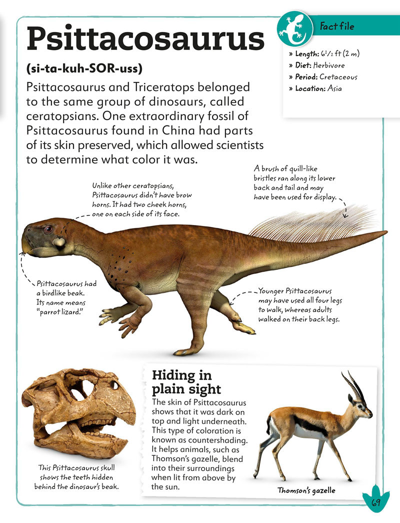 [画集]My Book of Dinosaurs and Prehistoric Life[98P]