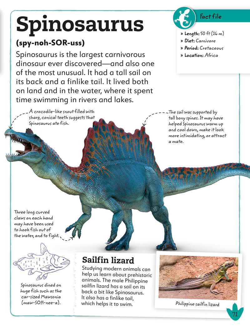 [画集]My Book of Dinosaurs and Prehistoric Life[98P]