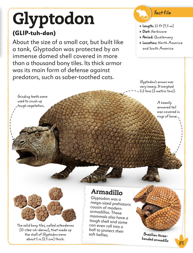 [画集]My Book of Dinosaurs and Prehistoric Life[98P]