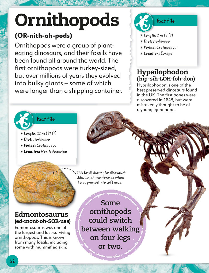 [画集]My Book of Fossils: A Fact-filled Guide to Prehistoric Life[98P]
