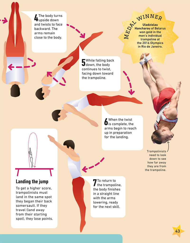 [画集]My Book of Gymnastics[66P]