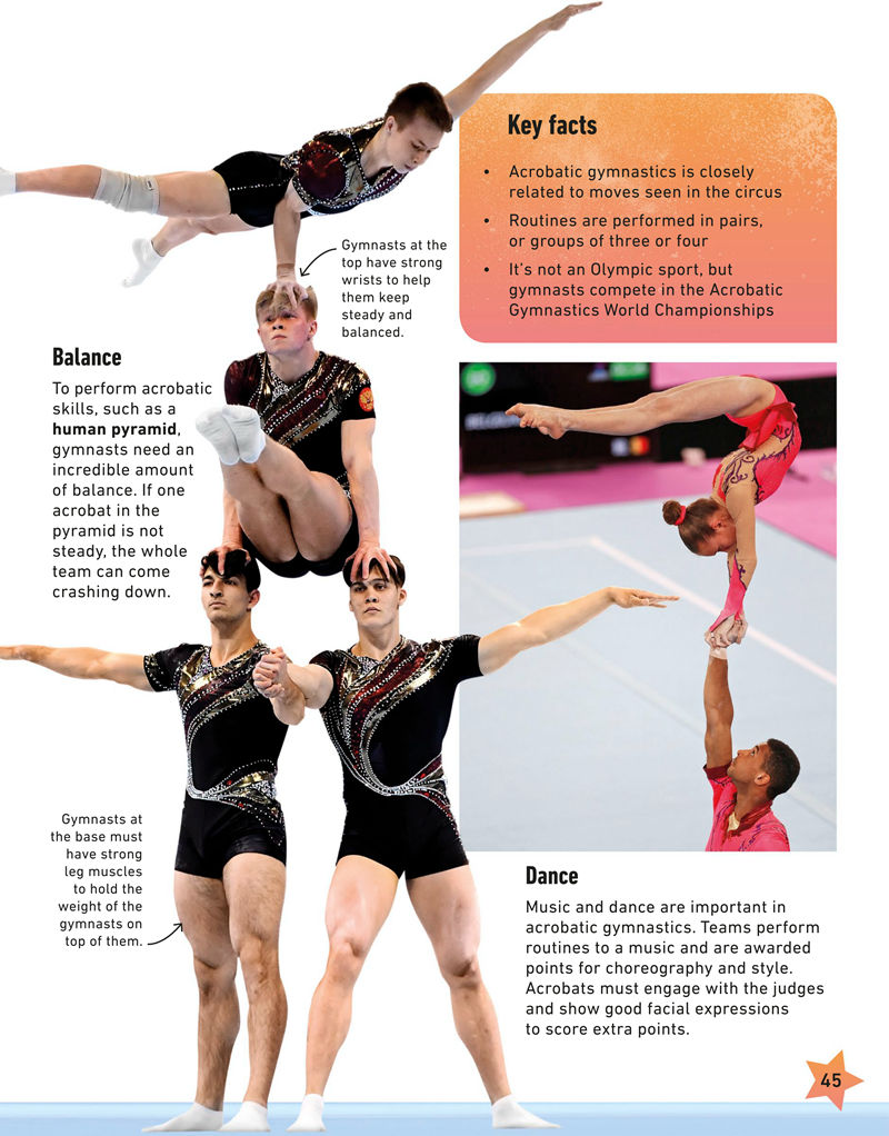 [画集]My Book of Gymnastics[66P]