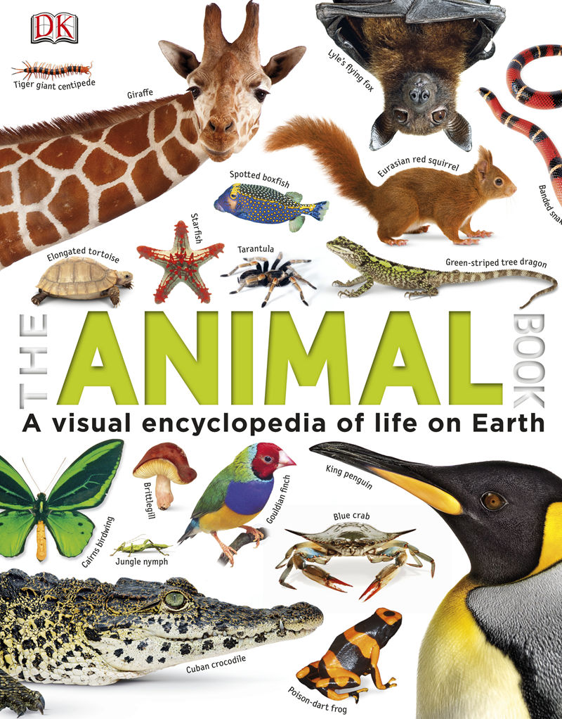 [画集]The Animal Book A Visual Encyclopedia of Life on Earth[306P]