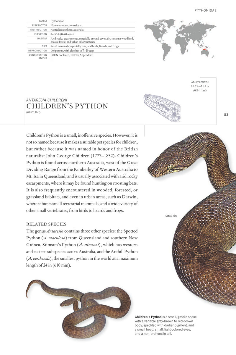 [画集]The Book of Snakes: A Life-Size Guide to Six Hundred Species from Around the World[657P]