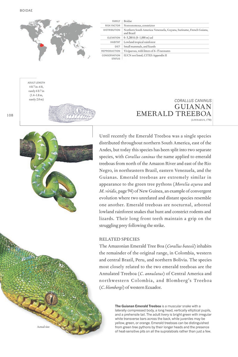 [画集]The Book of Snakes: A Life-Size Guide to Six Hundred Species from Around the World[657P]