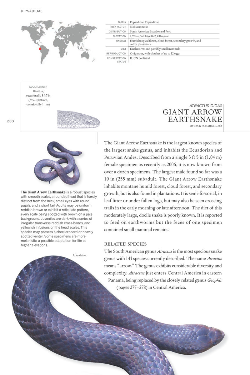 [画集]The Book of Snakes: A Life-Size Guide to Six Hundred Species from Around the World[657P]
