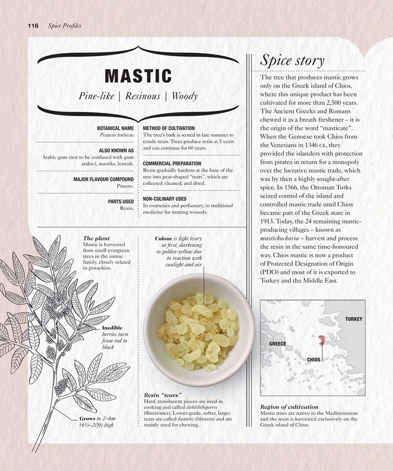 [画集]The Science of Spice: Understand Flavour Connections and Revolutionize Your Cooking[226P]