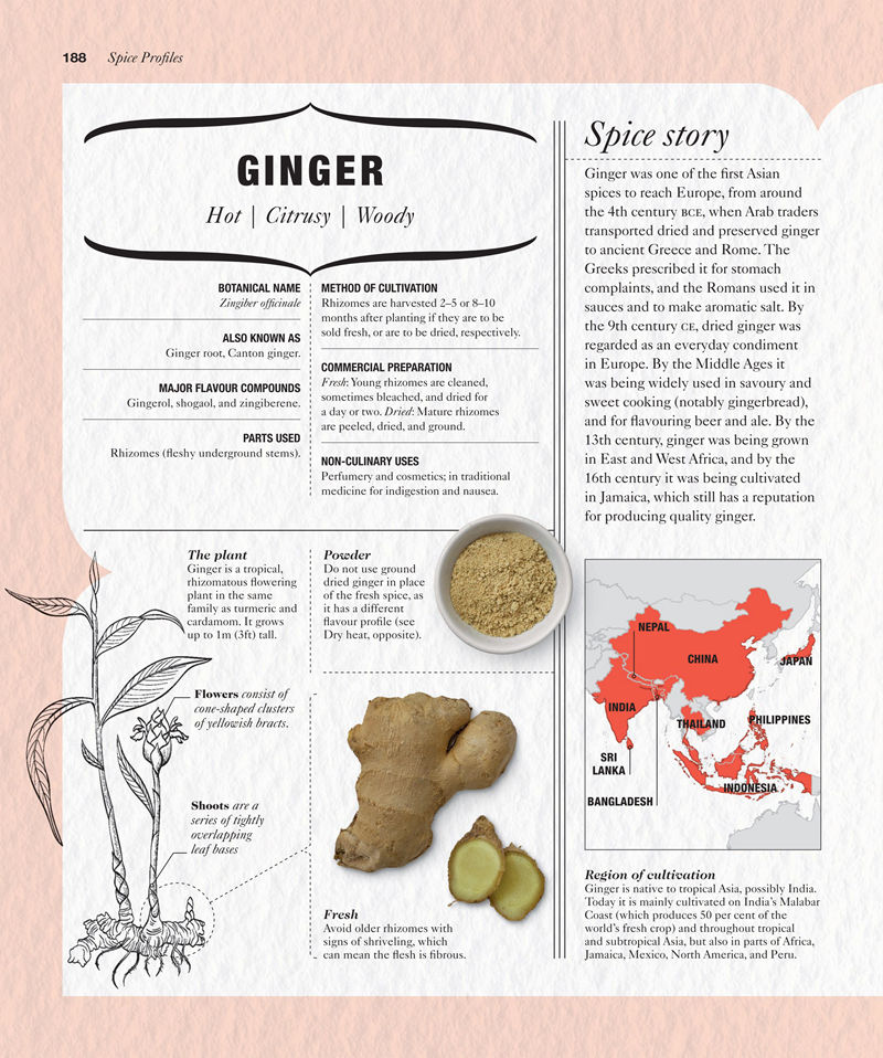 [画集]The Science of Spice: Understand Flavour Connections and Revolutionize Your Cooking[226P]