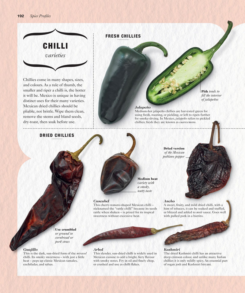 [画集]The Science of Spice: Understand Flavour Connections and Revolutionize Your Cooking[226P]