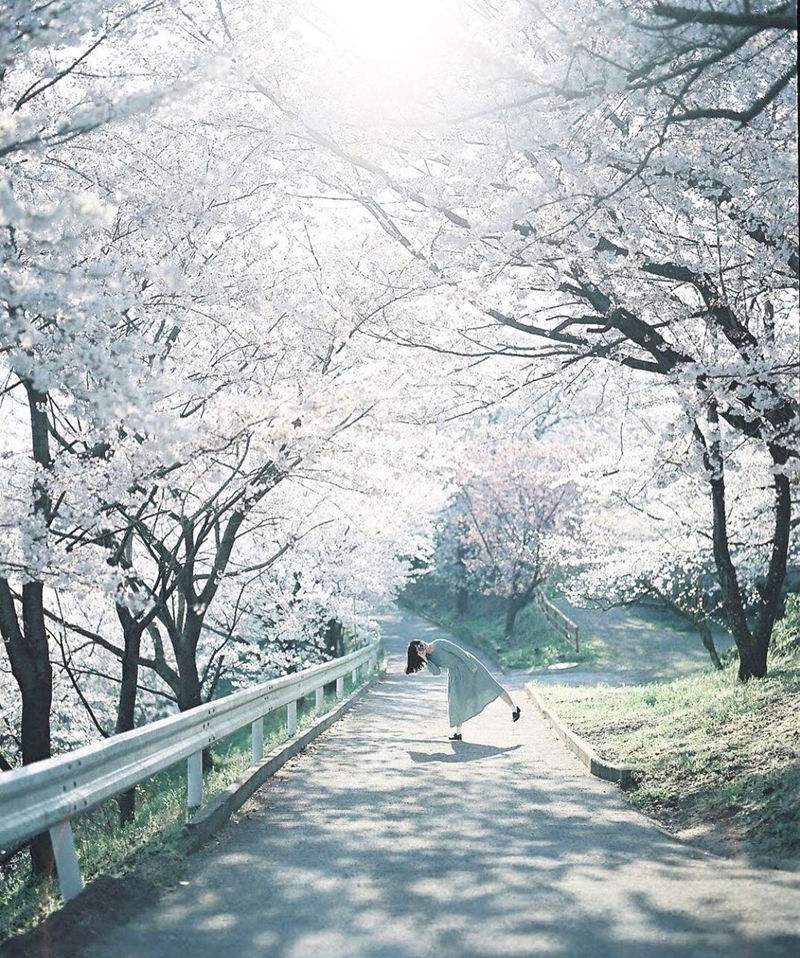 [摄影图包][フィルムに魅せられて(filmcamera_lover)]instagram图包[1685P]
