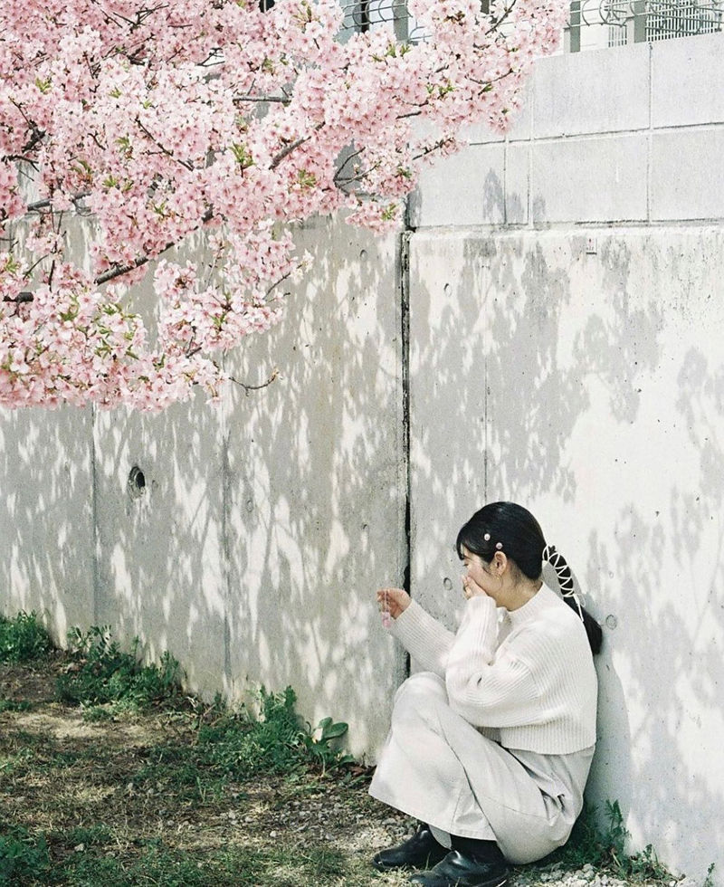 [摄影图包][フィルムに魅せられて(filmcamera_lover)]instagram图包[1685P]
