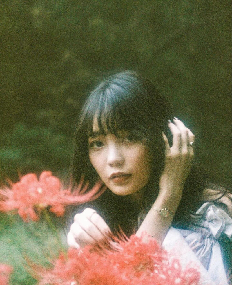 [摄影图包][フィルムに魅せられて(filmcamera_lover)]instagram图包[1685P]