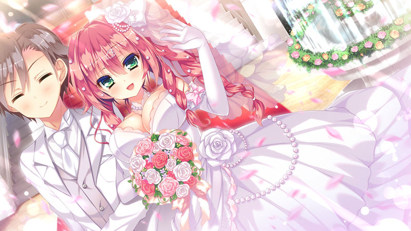 [游戏CG][ヲリ なえなえ るび様 六九導イツキ]わんにゃん☆アラモード！ 精选CG[88P]