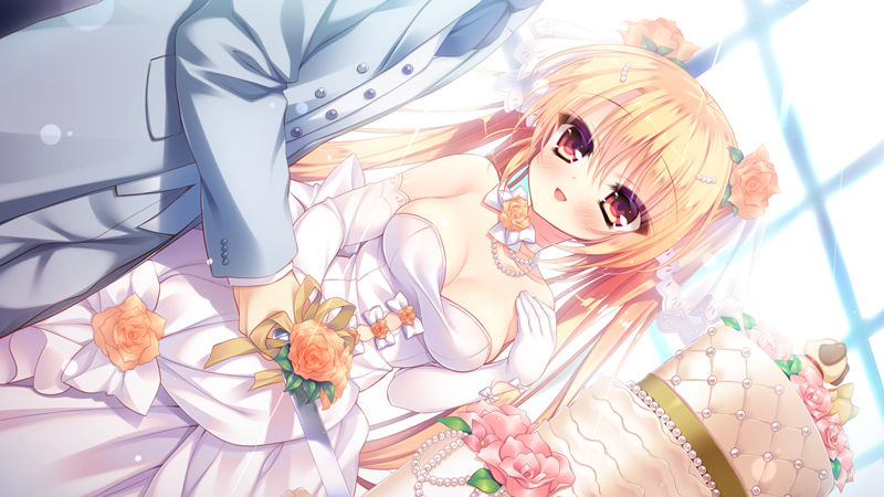 [游戏CG][ヲリ なえなえ るび様 六九導イツキ]わんにゃん☆アラモード！ 精选CG[88P]