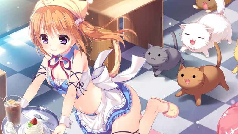 [游戏CG][ヲリ なえなえ るび様 六九導イツキ]わんにゃん☆アラモード！ 精选CG[88P]