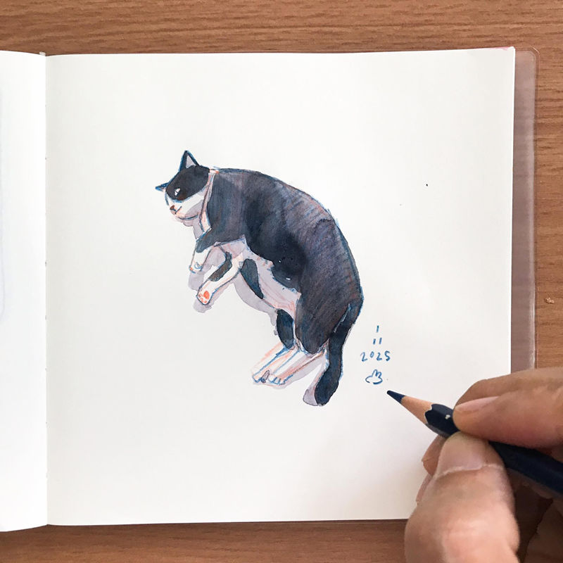 [画师推荐][sasi.yoy(sasi_yoy)]instagram+推特图片包[5830P]